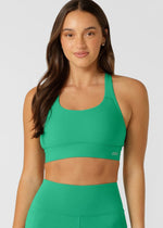 Amy Maximum Support Sports Bra